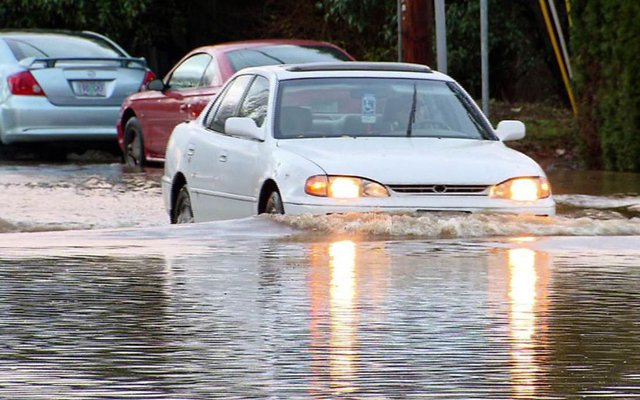 Lái xe ô tô ở vùng ngập nước